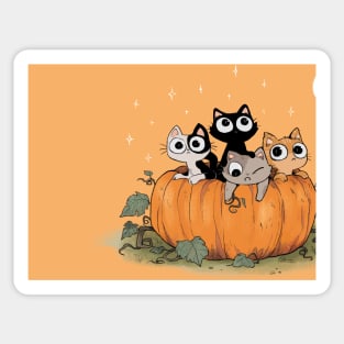 pumpkin cats Sticker